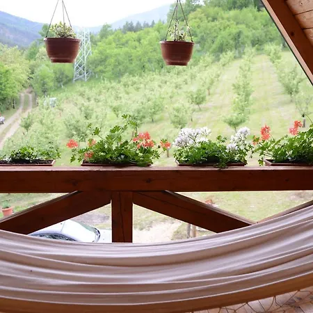Brvnare Dunja 1 I Dunja 2 Holiday home Kraljevo
