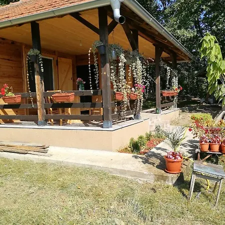 Brvnare Dunja 1 I Dunja 2 * Kraljevo