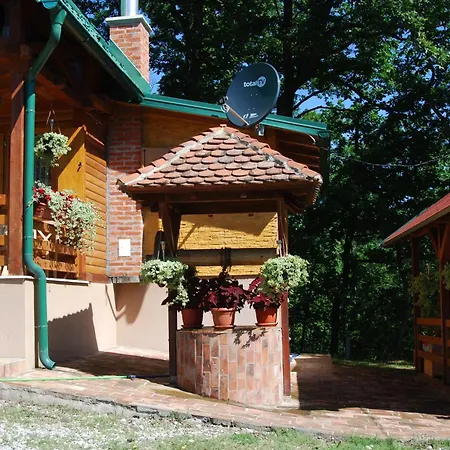 Brvnare Dunja 1 I Dunja 2 Holiday home *