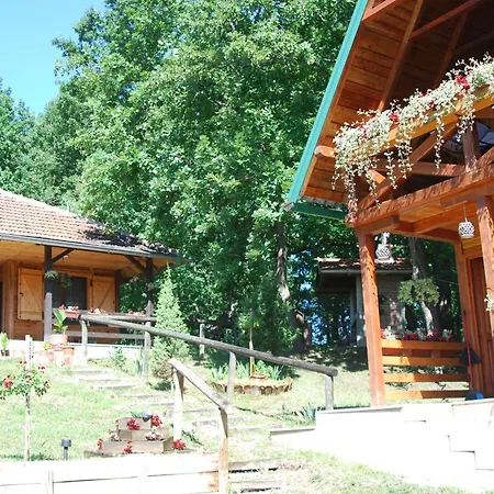 Brvnare Dunja 1 I Dunja 2 Holiday home Kraljevo