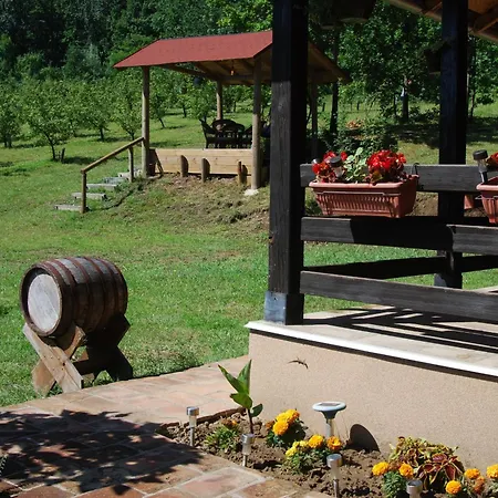 Brvnare Dunja 1 I Dunja 2 Holiday home Kraljevo