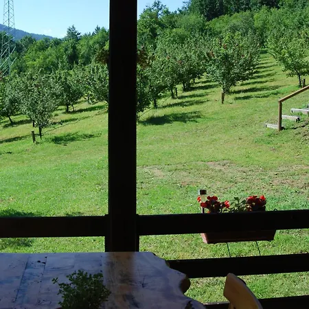 Brvnare Dunja 1 I Dunja 2 Kraljevo