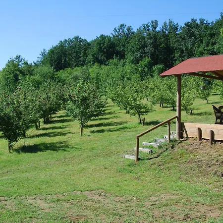 Brvnare Dunja 1 I Dunja 2 Holiday home *