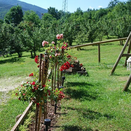 Brvnare Dunja 1 I Dunja 2 Prázdninový dům Kraljevo