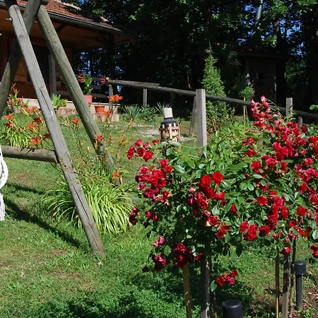 Brvnare Dunja 1 I Dunja 2 * Kraljevo