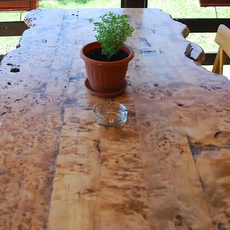 Prázdninový dům Brvnare Dunja 1 I Dunja 2 Kraljevo