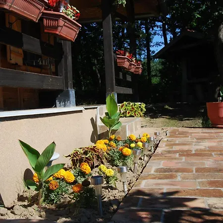 Brvnare Dunja 1 I Dunja 2 Holiday home Kraljevo