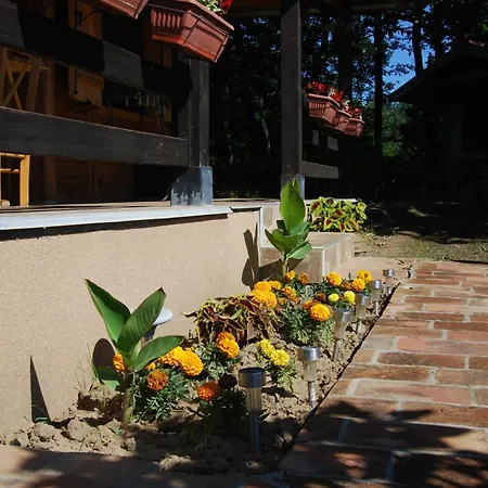 Brvnare Dunja 1 I Dunja 2 Prázdninový dům Kraljevo