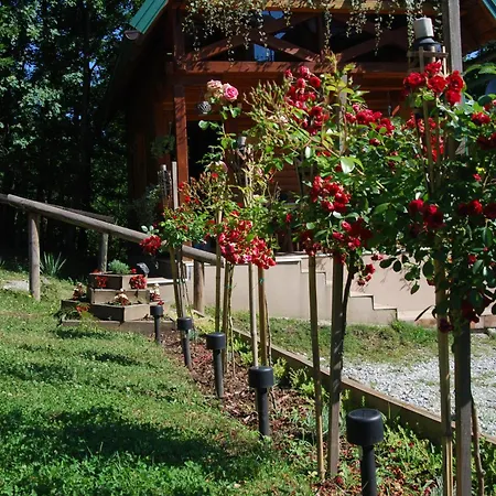 Brvnare Dunja 1 I Dunja 2 Holiday home *