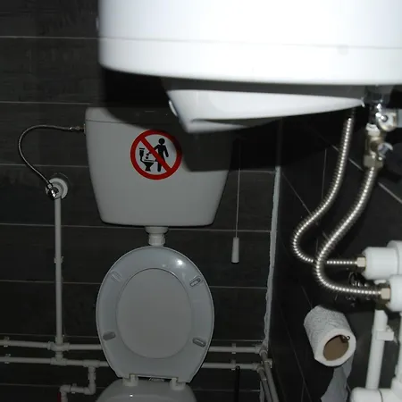 Brvnare Dunja 1 I Dunja 2 Kraljevo