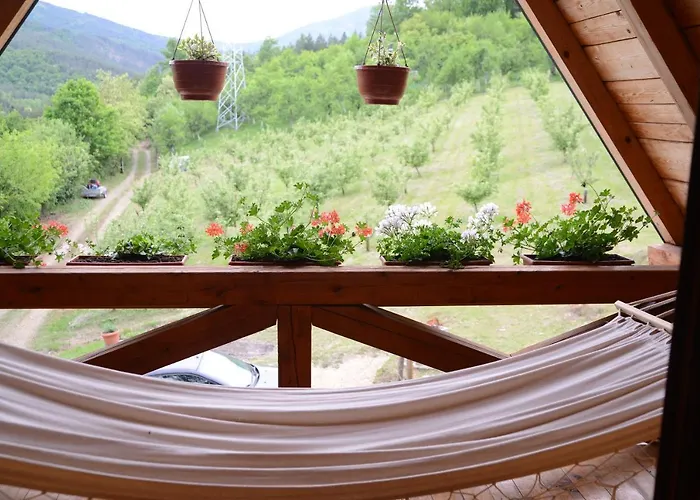 Brvnare Dunja 1 I Dunja 2 Tatil Evi Kraljevo