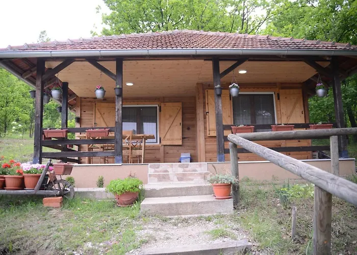 Brvnare Dunja 1 I Dunja 2 Tatil Evi Kraljevo