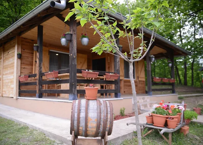 Brvnare Dunja 1 I Dunja 2 Tatil Evi *