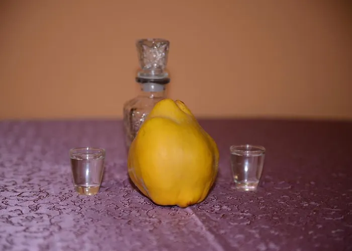 Brvnare Dunja 1 I Dunja 2 Tatil Evi