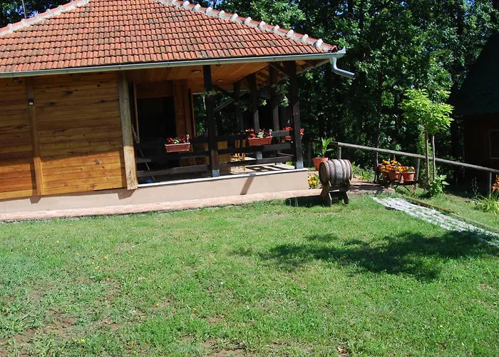 Brvnare Dunja 1 I Dunja 2