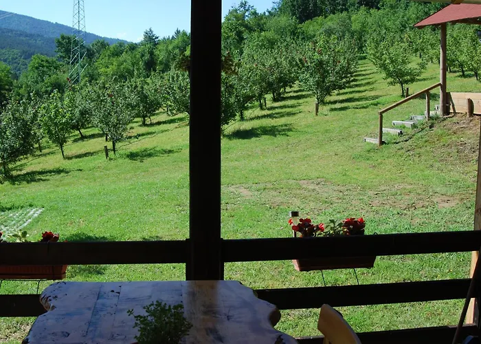 Brvnare Dunja 1 I Dunja 2 Kraljevo