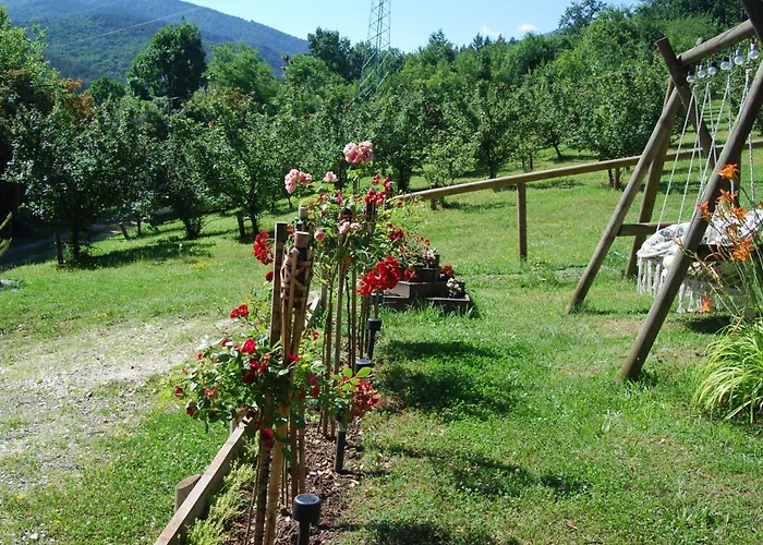 Brvnare Dunja 1 I Dunja 2 Tatil Evi Kraljevo