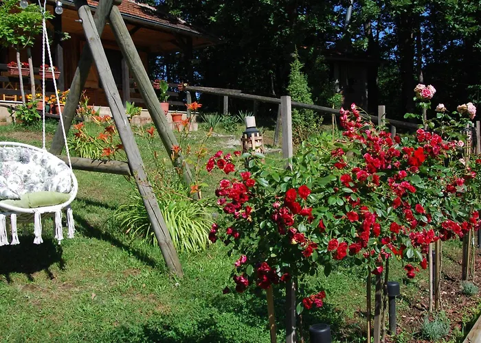 Brvnare Dunja 1 I Dunja 2 * Kraljevo