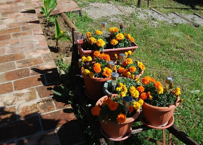 Tatil Evi Brvnare Dunja 1 I Dunja 2 *