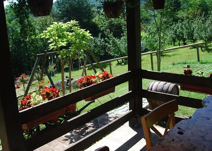 Brvnare Dunja 1 I Dunja 2 * Kraljevo