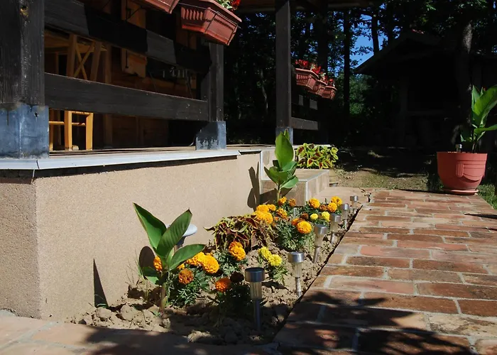 Brvnare Dunja 1 I Dunja 2 Tatil Evi Kraljevo