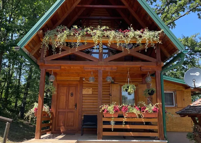 Brvnare Dunja 1 I Dunja 2 Kraljevo